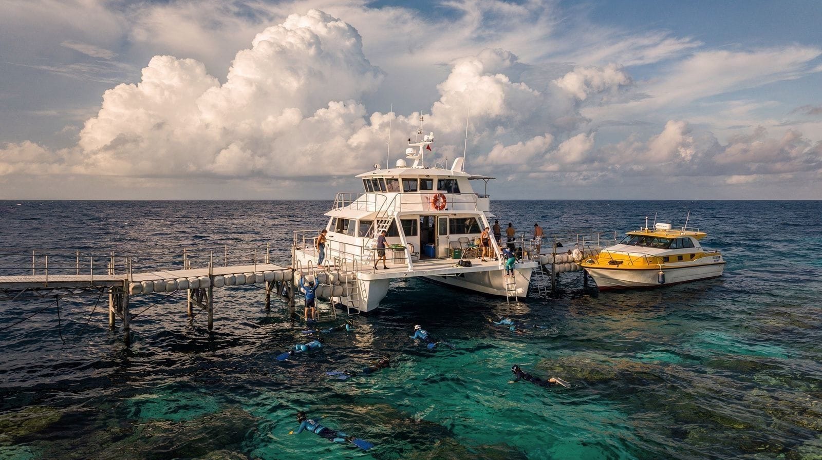Is the Great Barrier Reef Still Worth It?