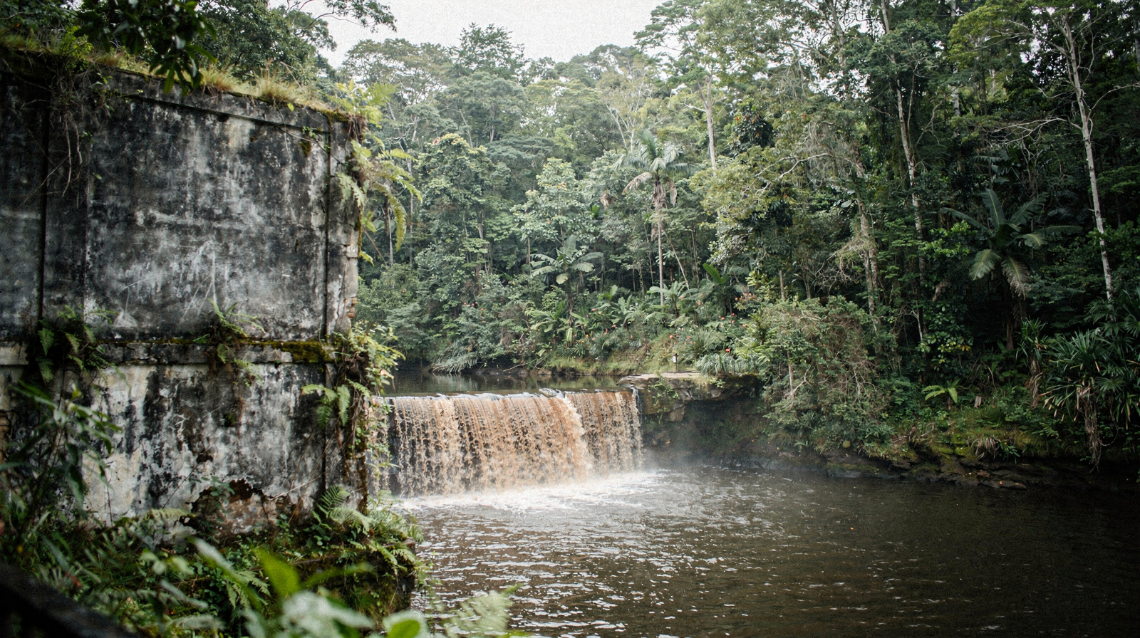 Paronella Park: The Strangest Place in Queensland