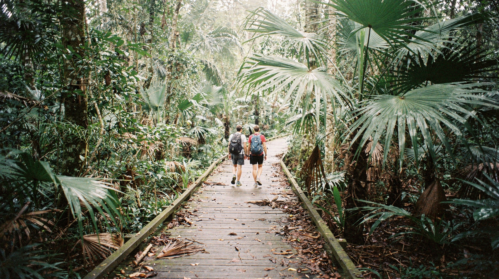 The Daintree Is Not a Day Trip