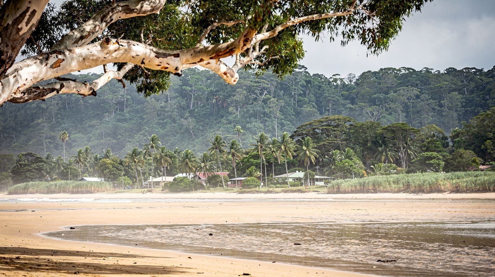 What Nobody Tells You About Cairns Beaches