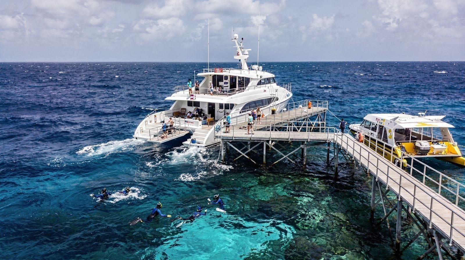 Why Your Reef Trip Costs More Than Advertised