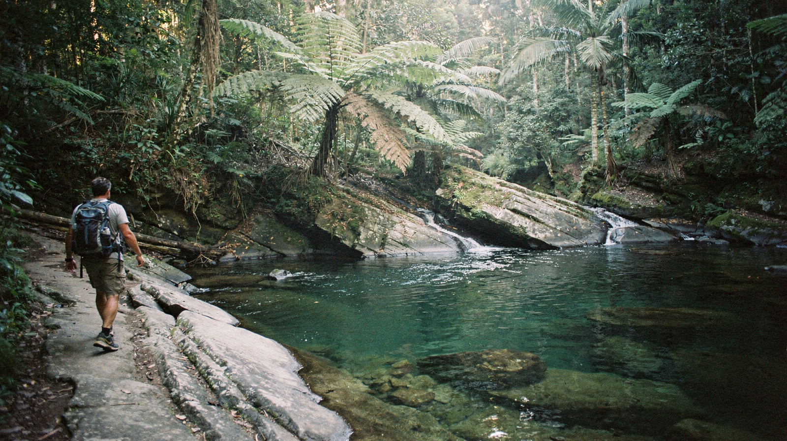 Hiking & nature walks