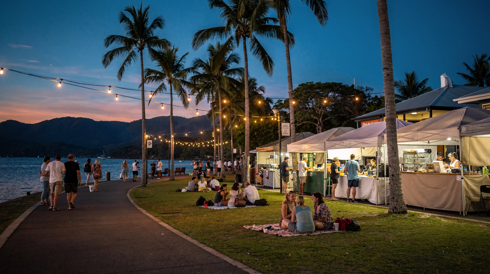 Nightlife & evenings