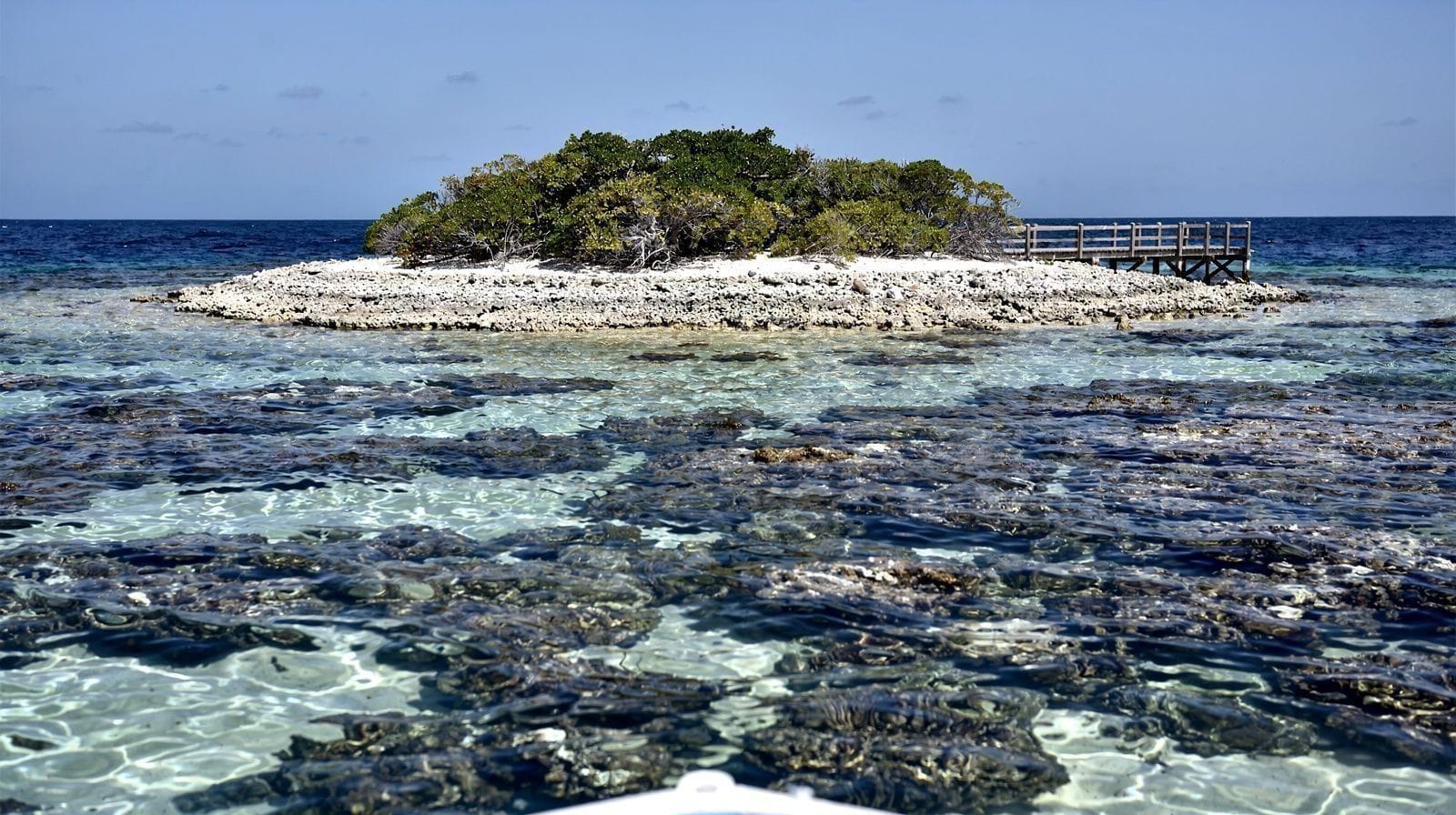 Reef & continental islands
