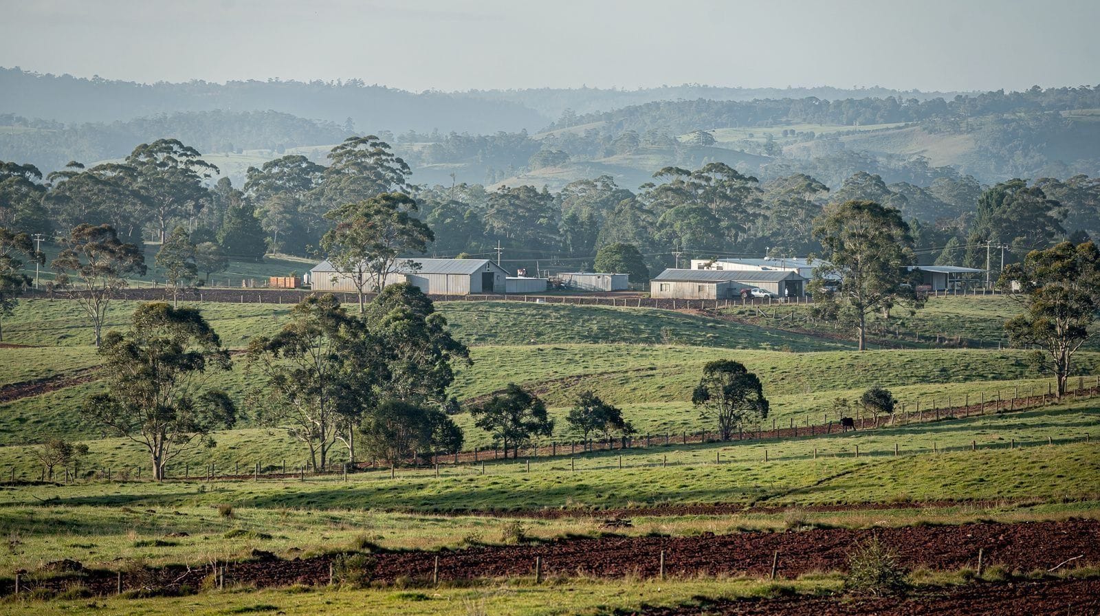 Atherton