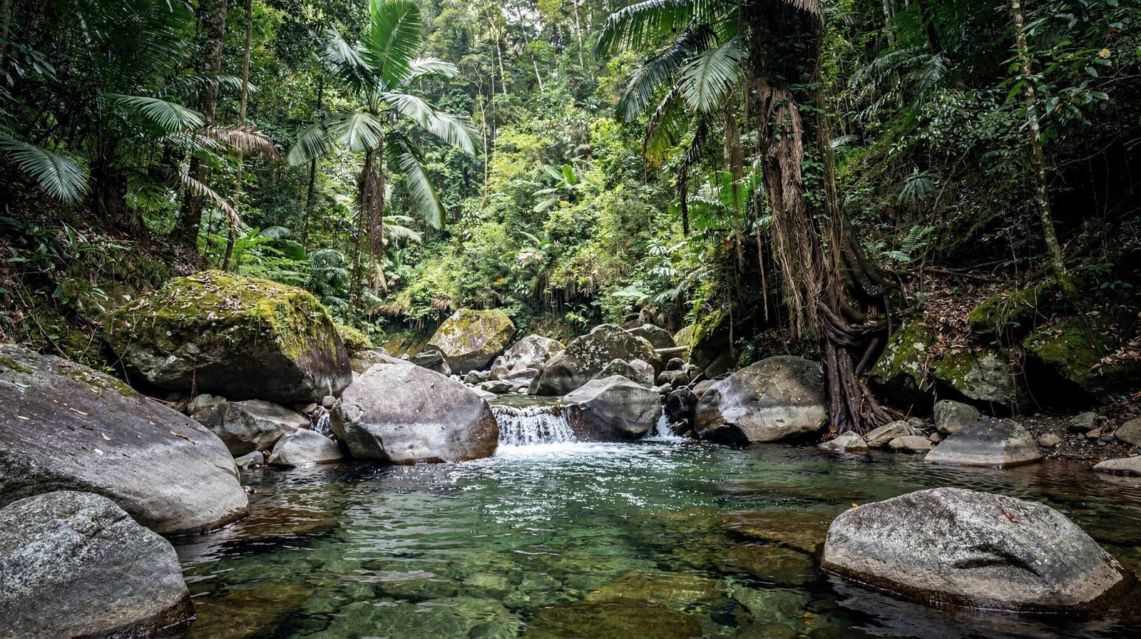 Behana Gorge: A Quiet Freshwater Alternative Near Cairns
