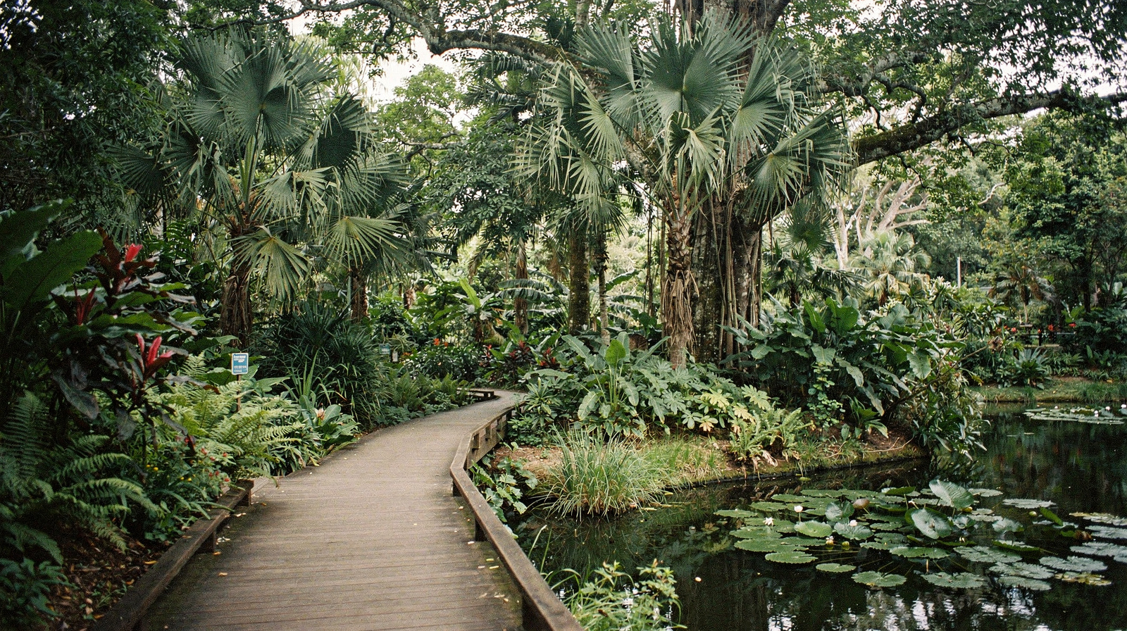 Cairns Botanic Gardens