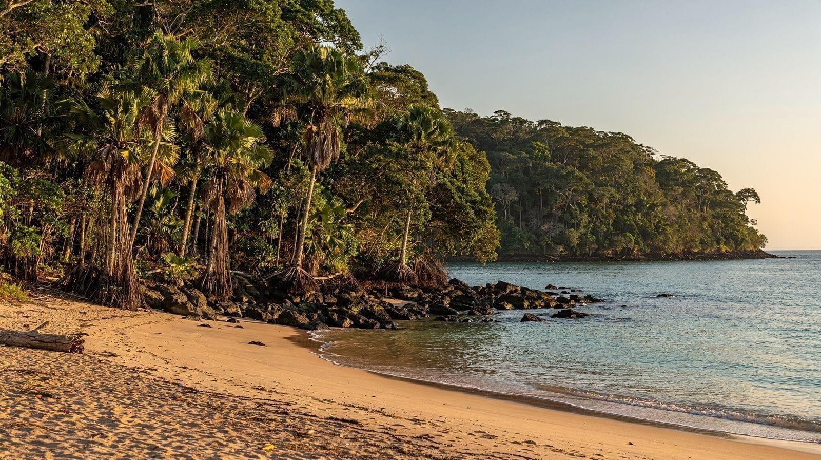 Cape Tribulation