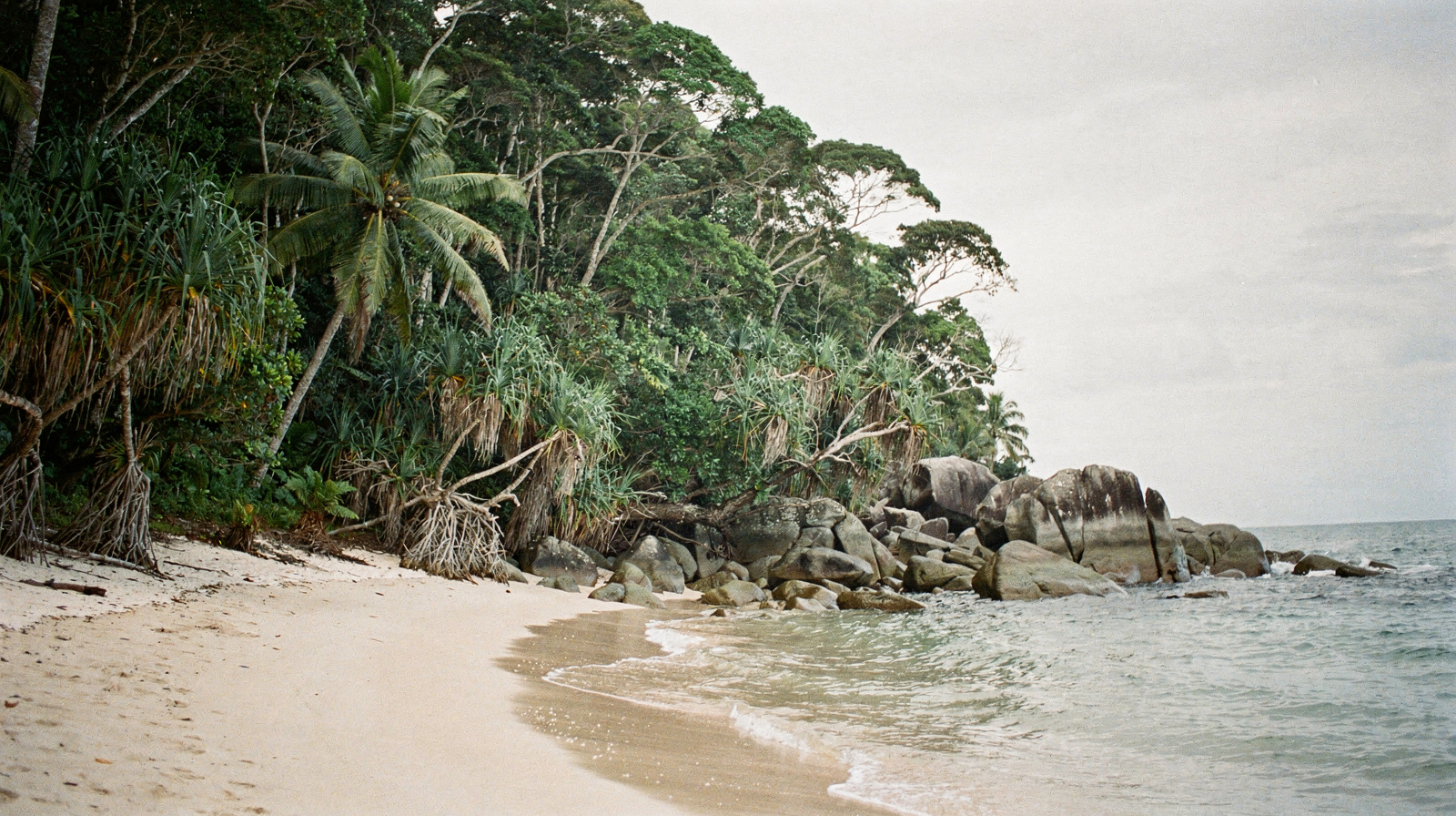 Cow Bay, Daintree Rainforest