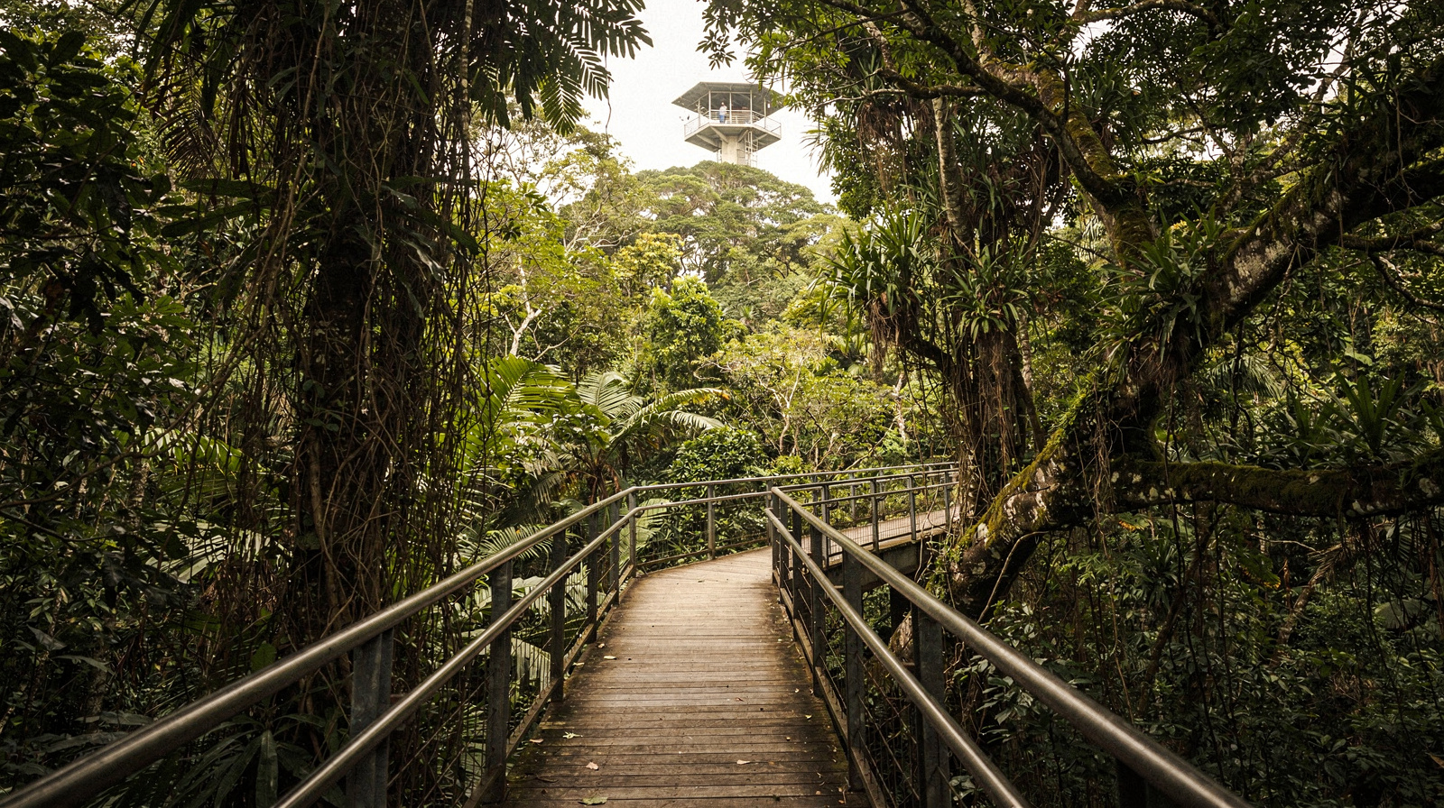 Daintree Discovery Centre