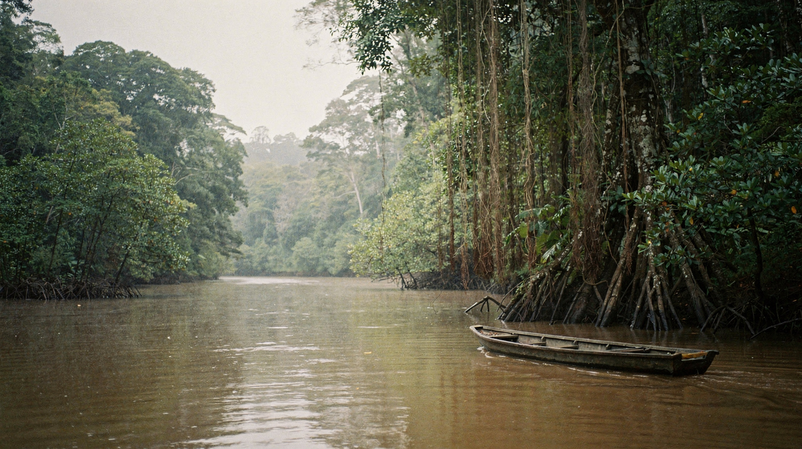 Daintree River