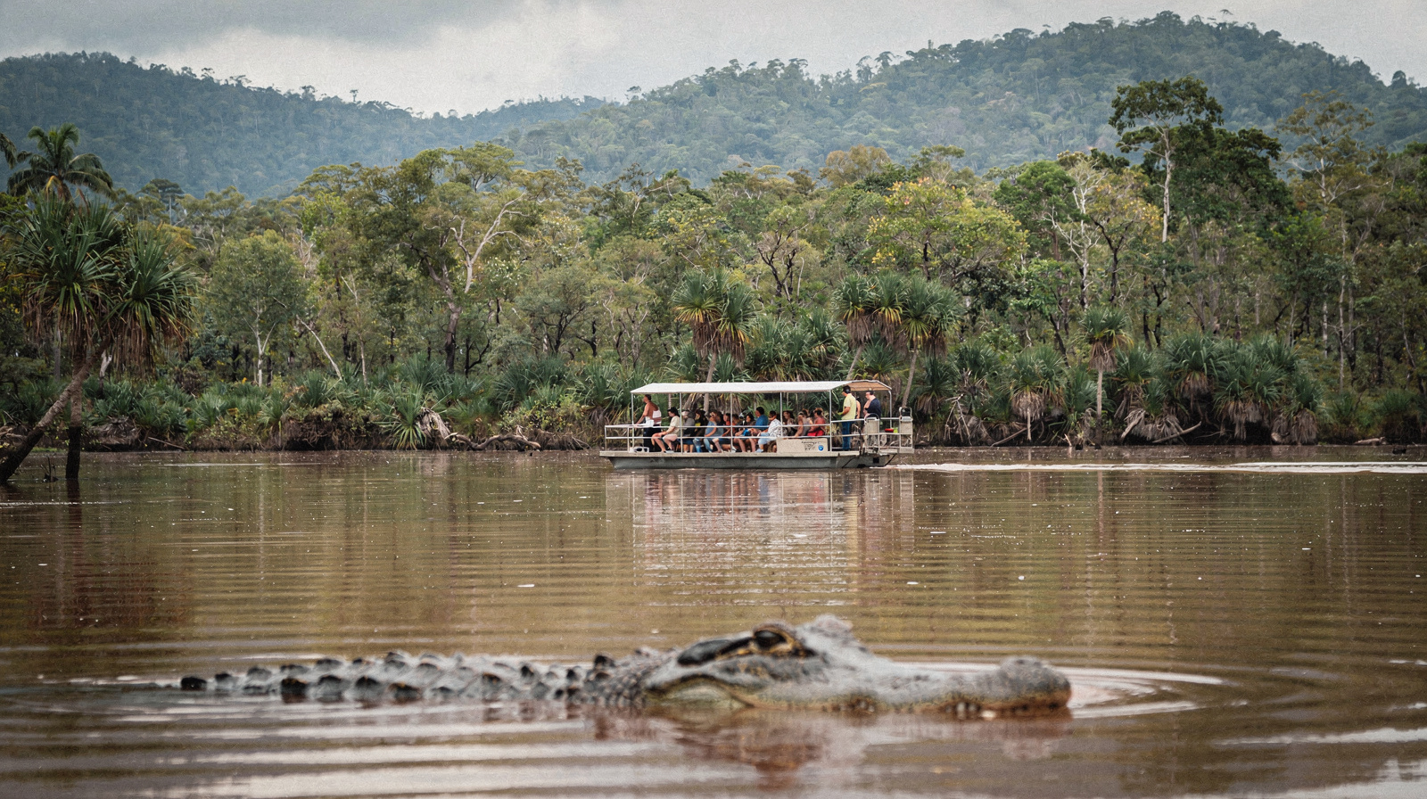 Hartley's Crocodile Adventures