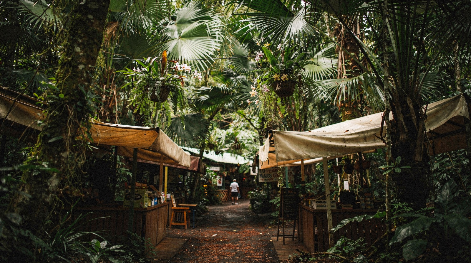 Kuranda