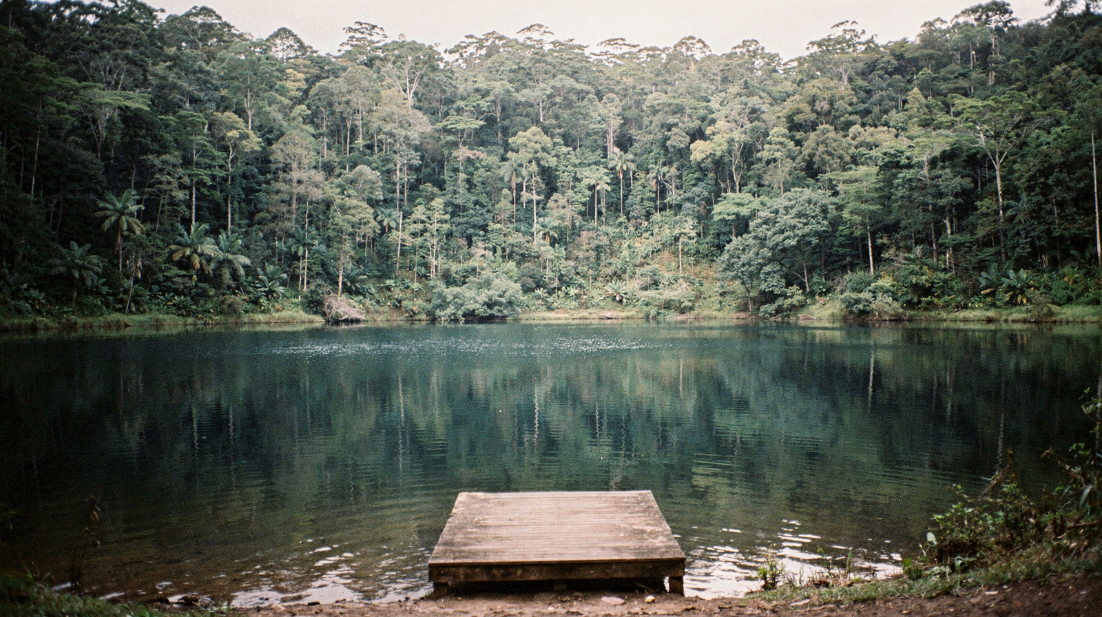 Lake Eacham: Queensland's Safest Freshwater Swimming Hole