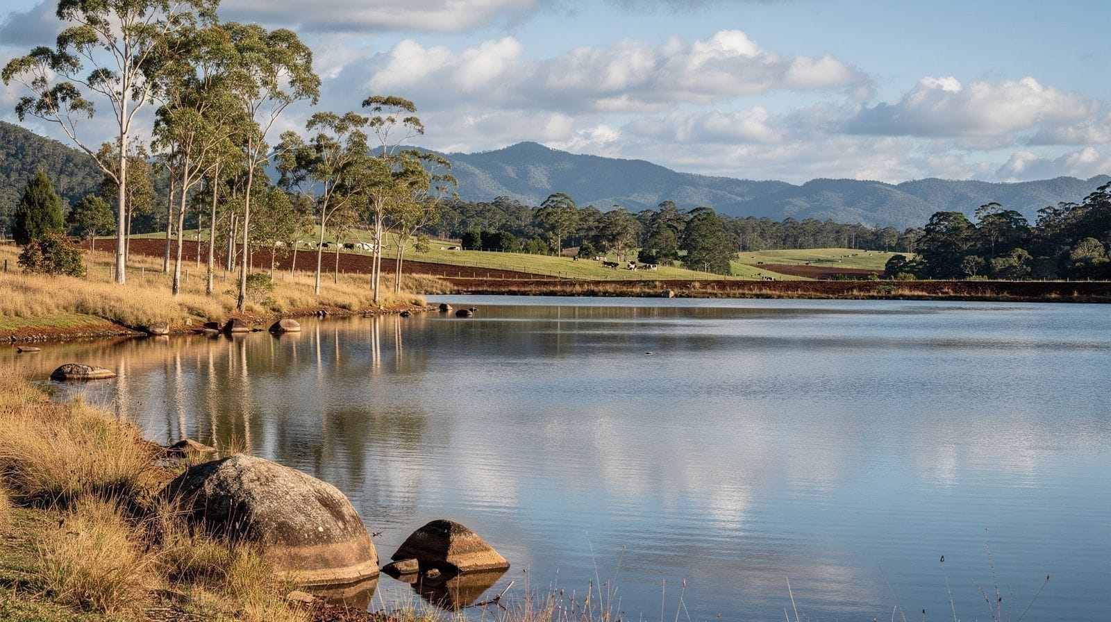 Lake Tinaroo