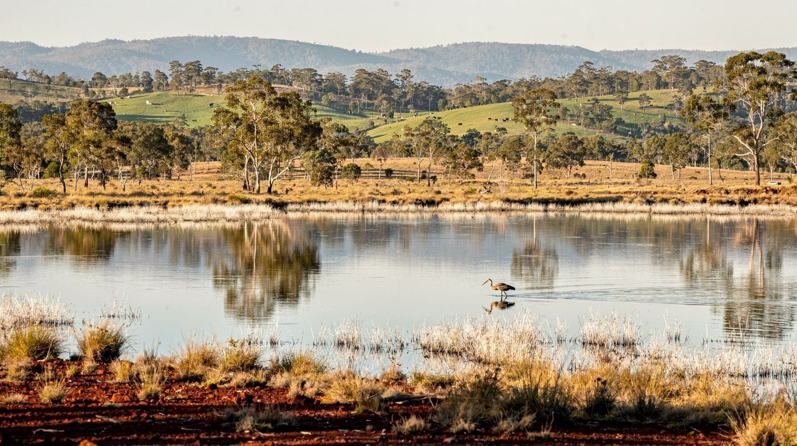 Mareeba Wetlands