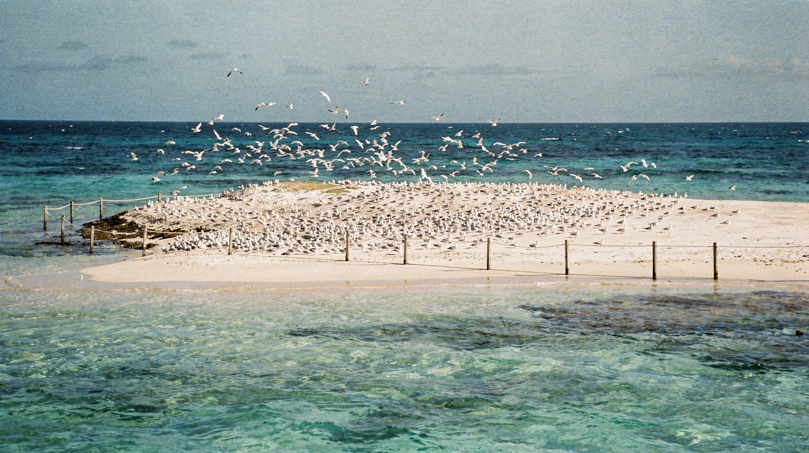 Michaelmas Cay