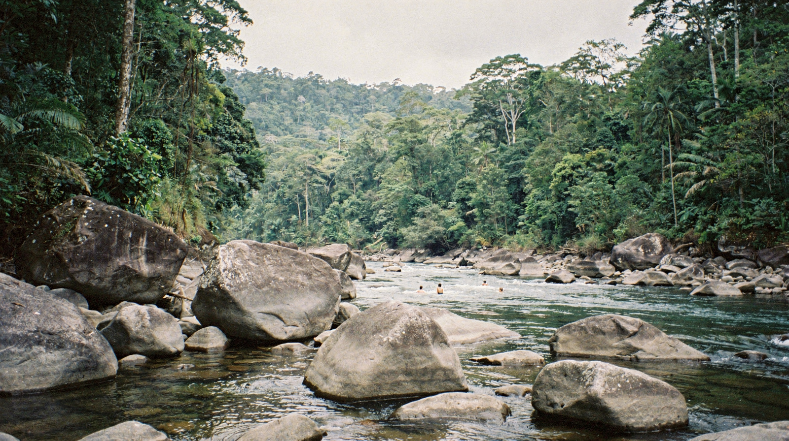 Mossman Gorge