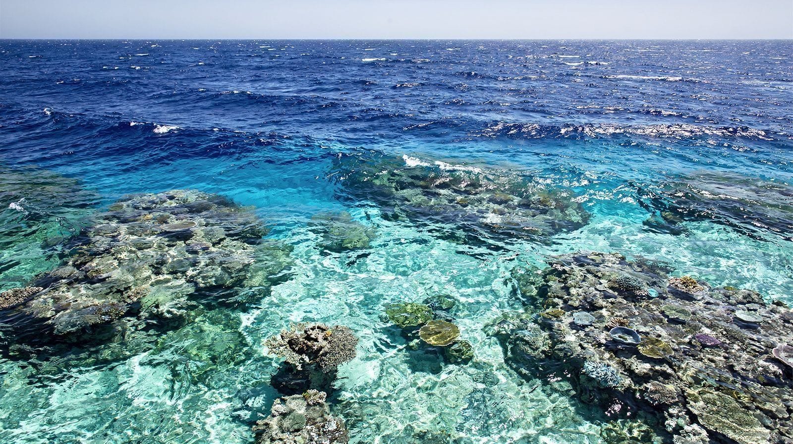 The Outer Great Barrier Reef