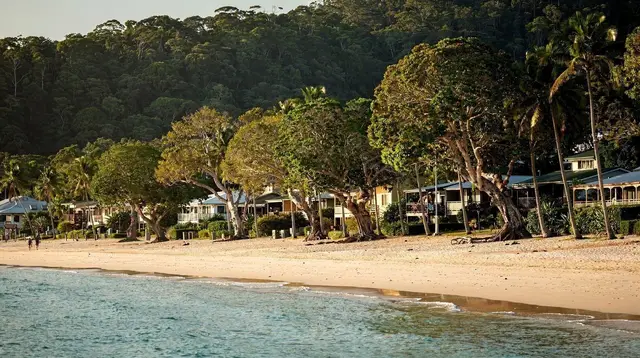 Palm Cove