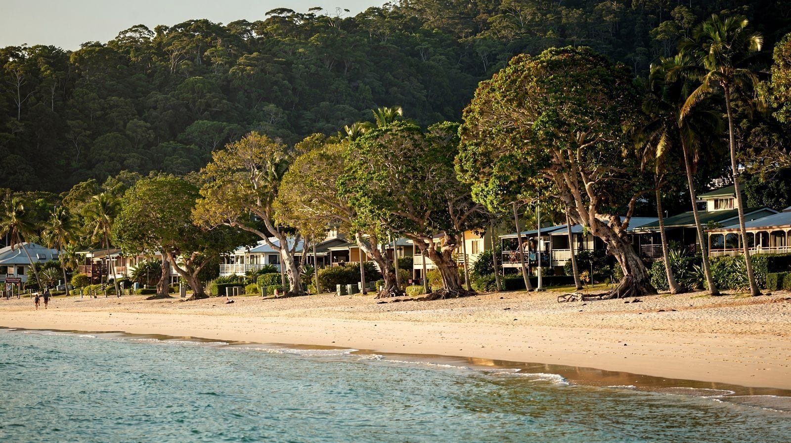 Palm Cove