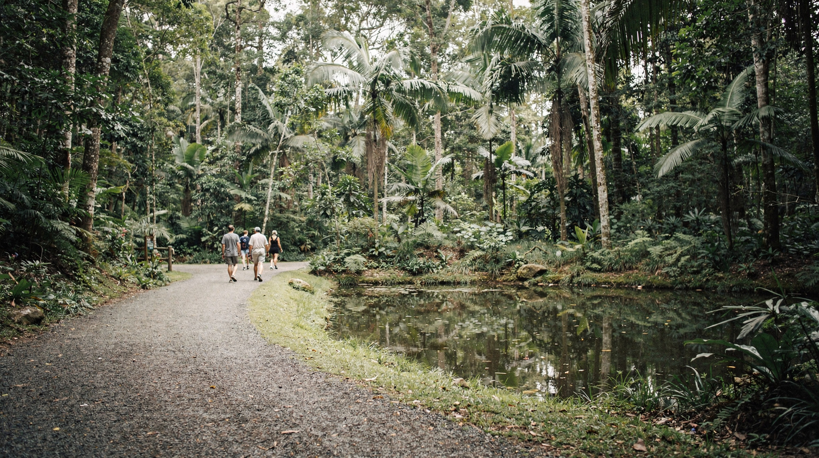 Rainforestation Nature Park: Army Ducks and Pamagirri in Kuranda