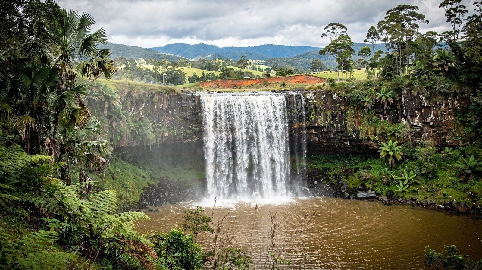 The Waterfall Circuit: Millaa Millaa, Zillie and Ellinjaa Falls