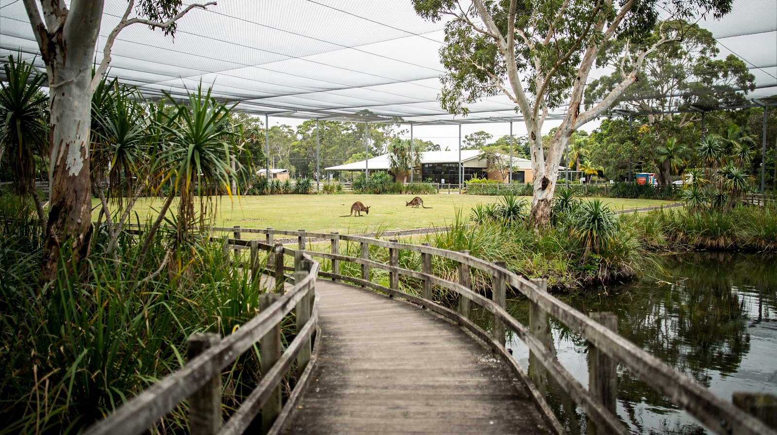 Wildlife Habitat Port Douglas