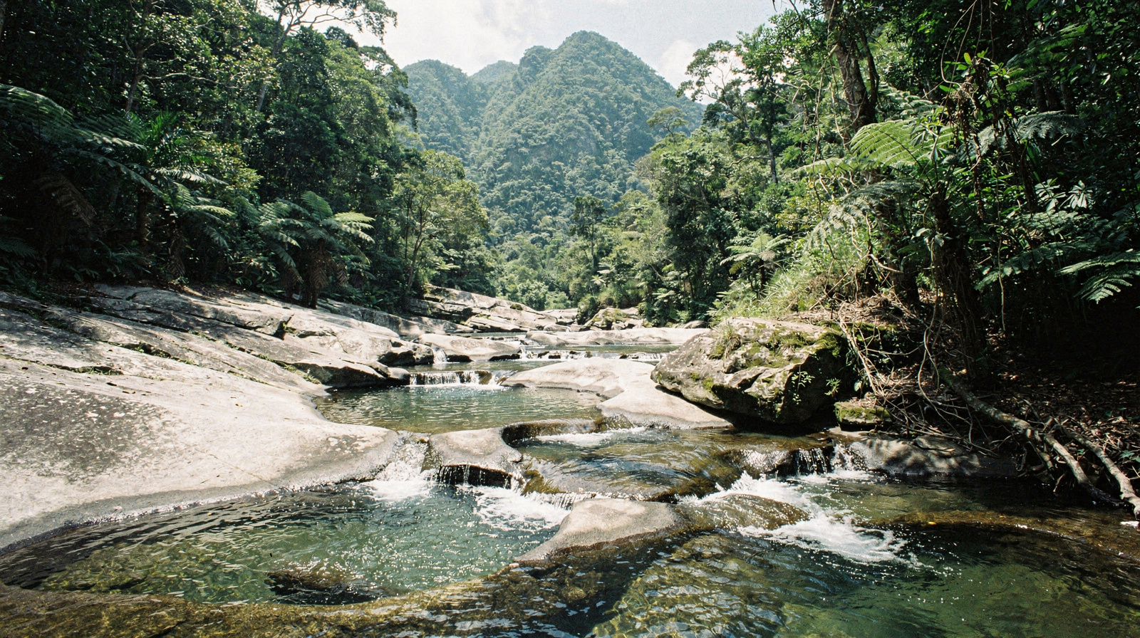Wooroonooran National Park