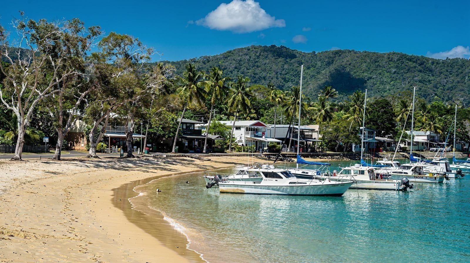 Yorkeys Knob: A Quiet Local Beach North of Cairns