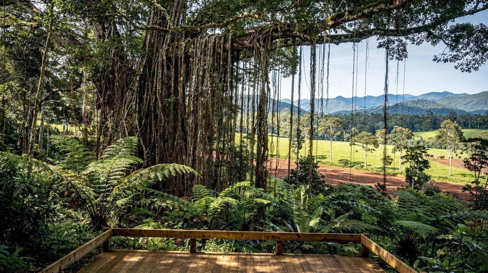 Yungaburra