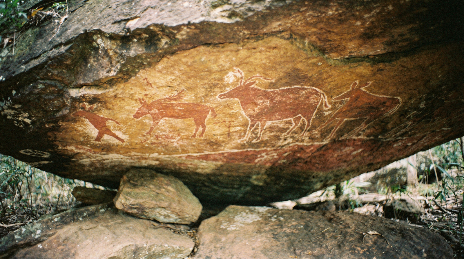 Aboriginal Cultural Experiences from Cairns