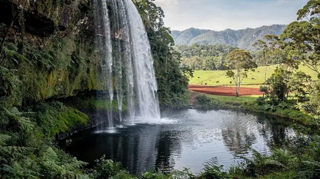 Atherton Tablelands Day Trip from Cairns: One Realistic Itinerary