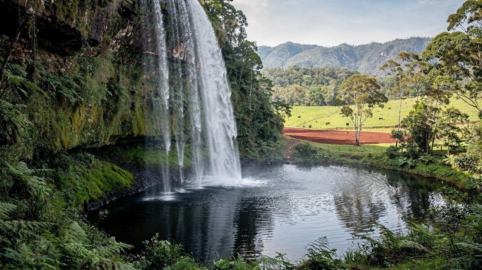 Atherton Tablelands Day Trip from Cairns: One Realistic Itinerary