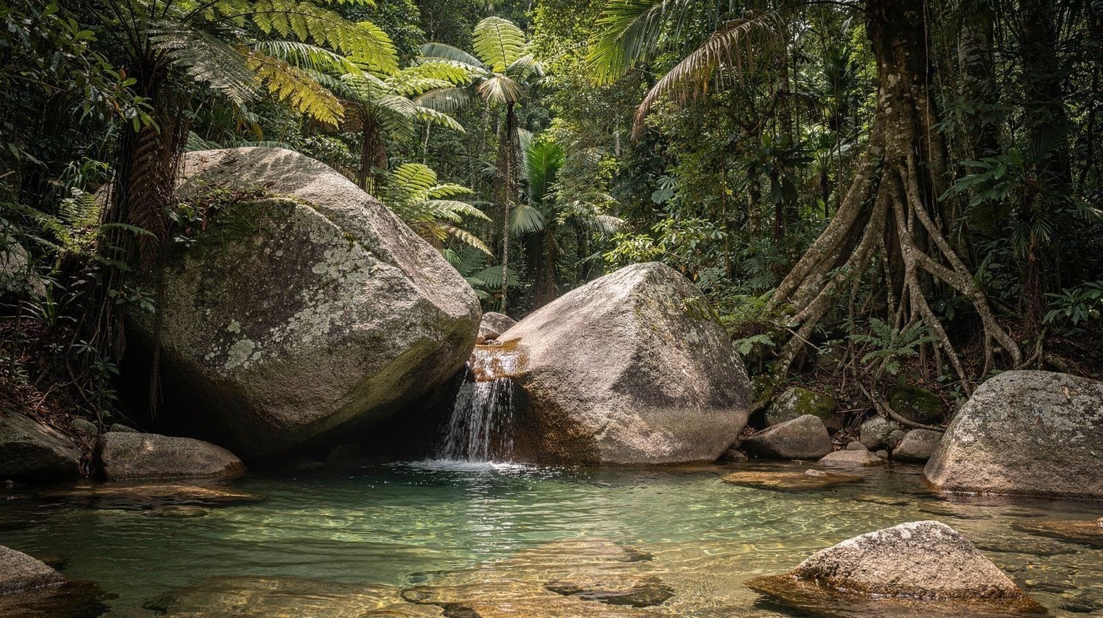 Babinda Boulders: The Swimming Safety Guide