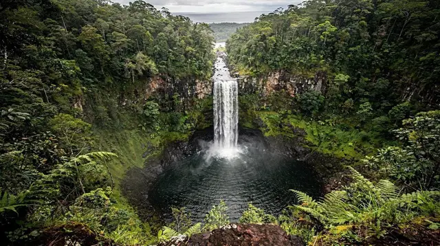 Barron Falls: The Complete Guide to Kuranda's Waterfall