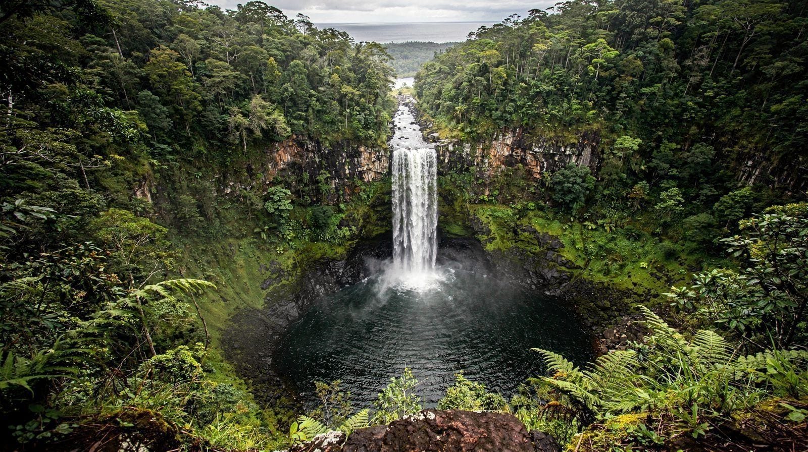 Barron Falls: The Complete Guide to Kuranda's Waterfall