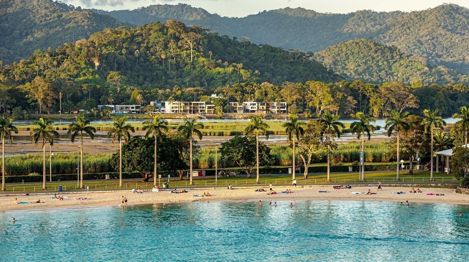 Best Day Trips from Cairns: How to Choose Between Them