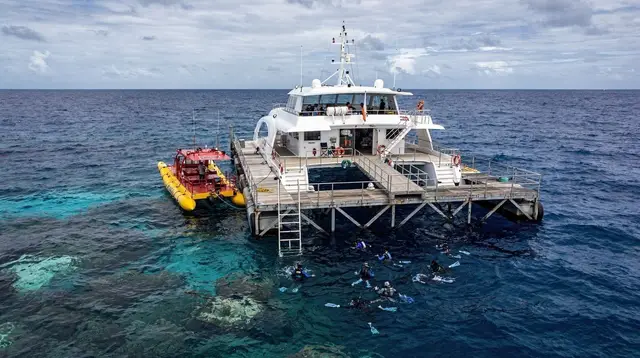 The Best Great Barrier Reef Tours from Cairns