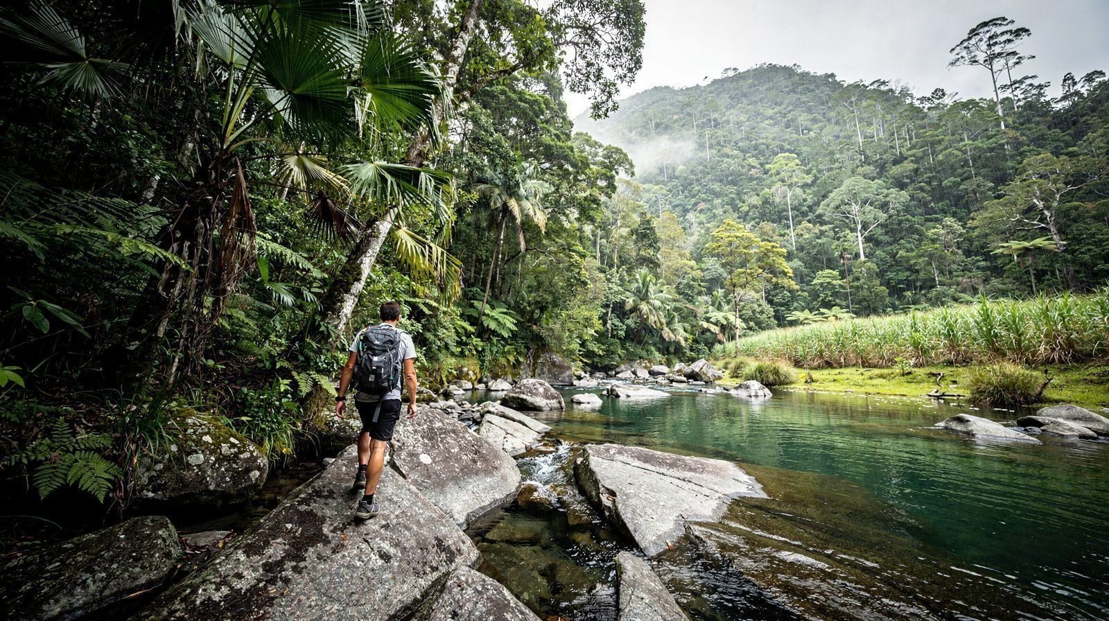 Hiking Barron Gorge National Park: Walks Near Kuranda