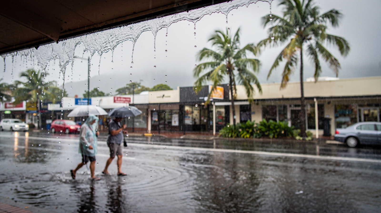 What to Do in Cairns on a Rainy Day