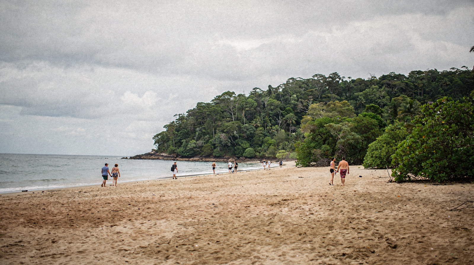 Cape Tribulation Day Trip: Where Rainforest Meets Reef