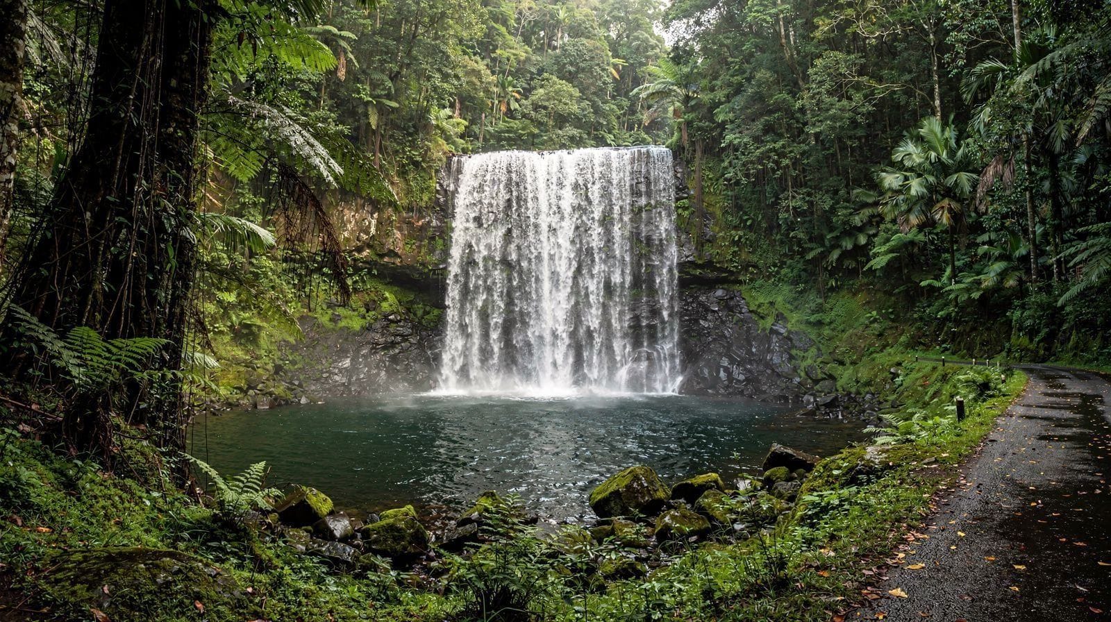 Crystal Cascades and Behana Gorge: Cairns' Safest Freshwater Swimming Holes