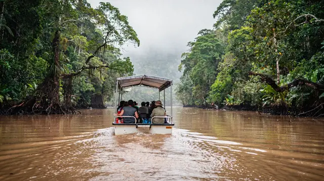 Daintree River Cruises: Where to See Wild Crocodiles