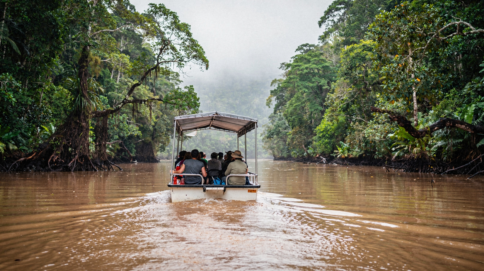 Daintree River Cruises: Where to See Wild Crocodiles