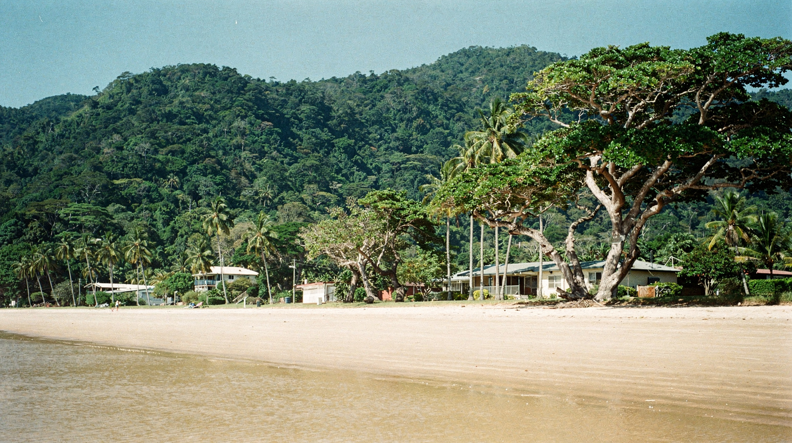 Four Mile Beach, Port Douglas: The Complete Guide