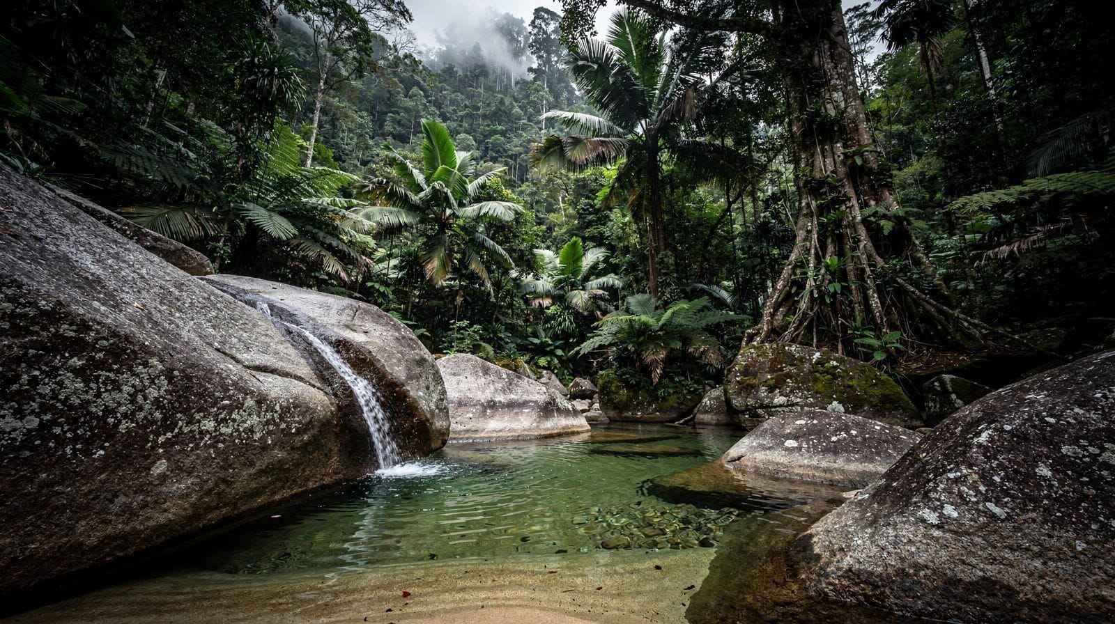 Freshwater Swimming Holes Near Cairns (And Where Not to Swim)