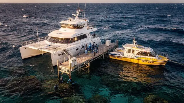 What to Expect on a Great Barrier Reef Day Trip from Cairns