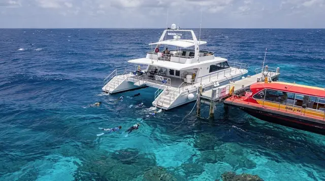 The Great Barrier Reef from Cairns: A Complete First Guide