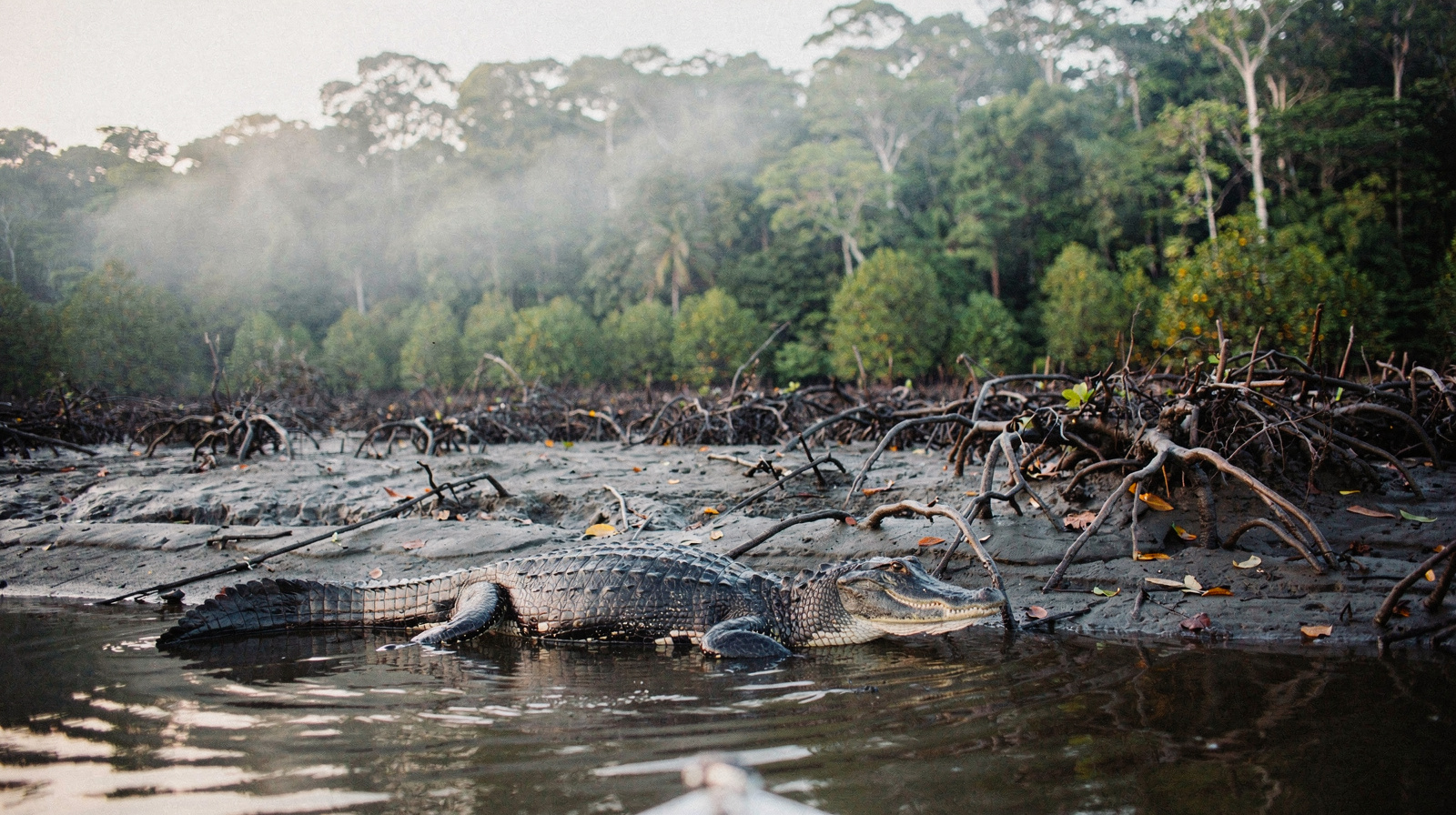 Hartley's Crocodile Adventures: The Complete Guide